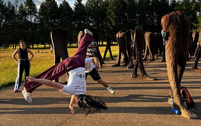 Letnie treningi Capoeira w Poznaniu – jak wyglądają wakacyjne zajęcia?